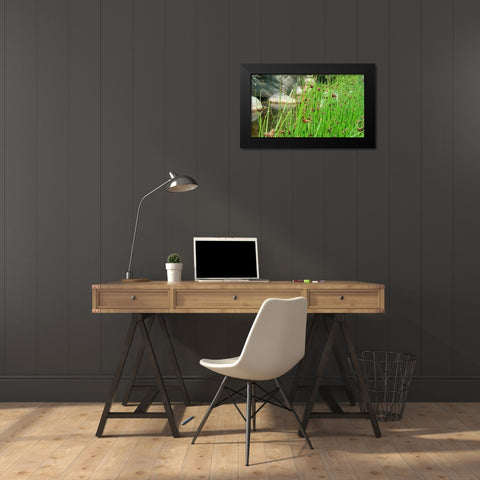 Agua Fria National Monument Black Modern Wood Framed Art Print by Popcorn