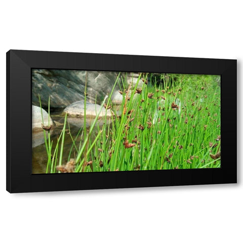 Agua Fria National Monument Black Modern Wood Framed Art Print by Popcorn