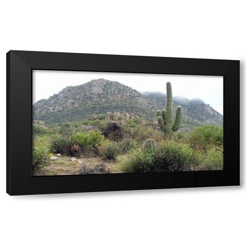 Granite Mountain Black Modern Wood Framed Art Print with Double Matting by Popcorn