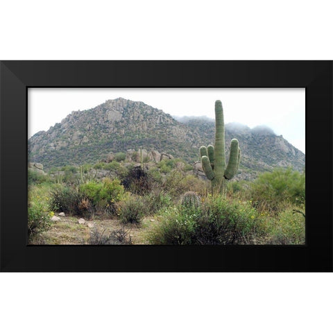 Granite Mountain Black Modern Wood Framed Art Print by Popcorn