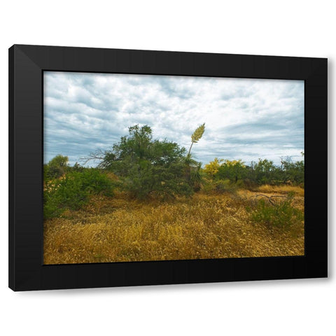 Desert Scape 6 Black Modern Wood Framed Art Print by Popcorn