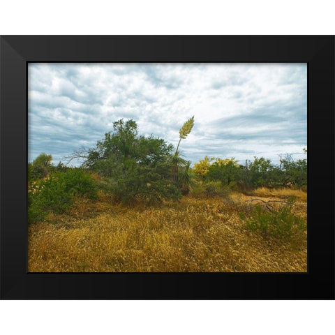 Desert Scape 6 Black Modern Wood Framed Art Print by Popcorn