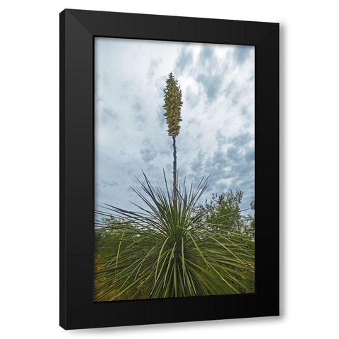 Desert Scape 8 Black Modern Wood Framed Art Print by Popcorn