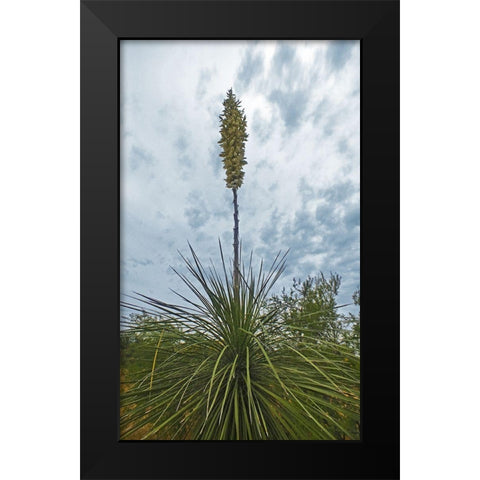 Desert Scape 8 Black Modern Wood Framed Art Print by Popcorn