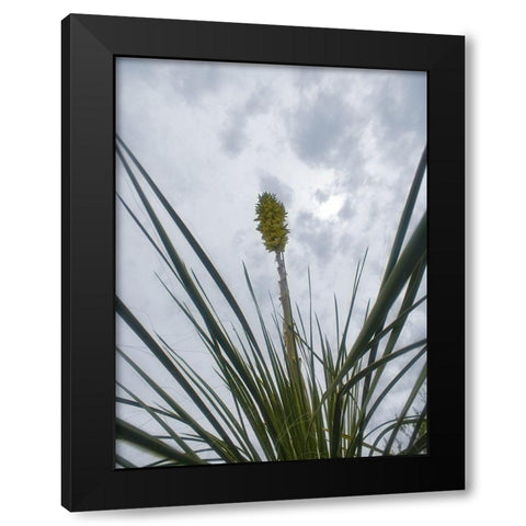 Desert Scape 9 Black Modern Wood Framed Art Print with Double Matting by Popcorn