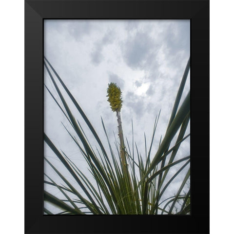 Desert Scape 9 Black Modern Wood Framed Art Print by Popcorn