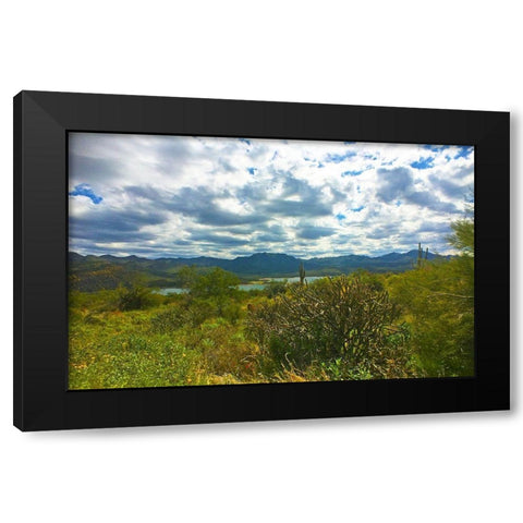 Bartlett Lake A Black Modern Wood Framed Art Print by Popcorn
