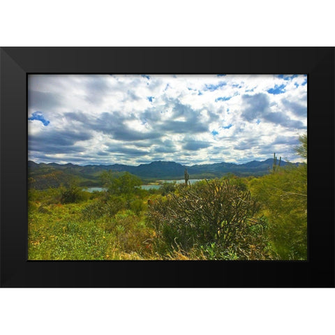Bartlett Lake B Black Modern Wood Framed Art Print by Popcorn