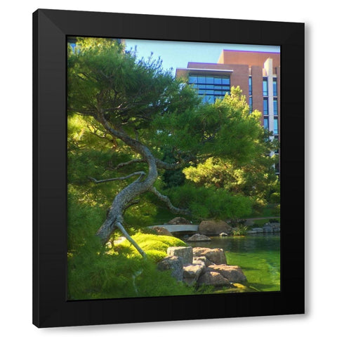 Japanese Friendship Garden I Black Modern Wood Framed Art Print with Double Matting by Tenoever, William