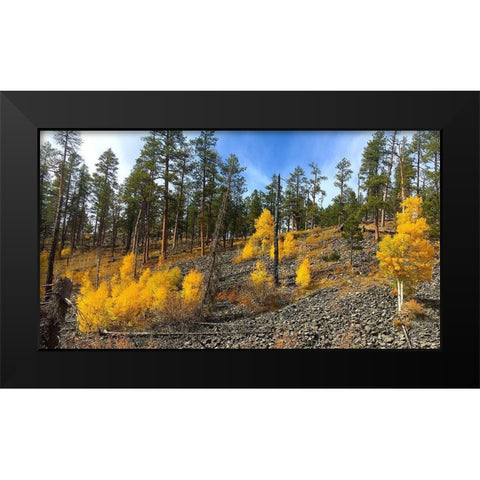 Greer in Fall 7 Black Modern Wood Framed Art Print by Tenoever, William