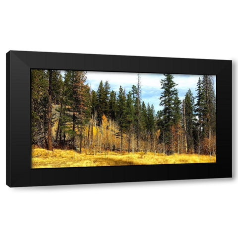 Greer in Fall 8 Black Modern Wood Framed Art Print by Tenoever, William