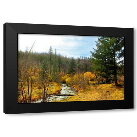 Greer in Fall 9 Black Modern Wood Framed Art Print by Tenoever, William
