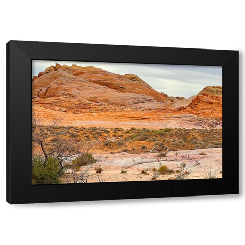 ValleyOfFire:BigHornSheep1 Black Modern Wood Framed Art Print by Tenoever, William