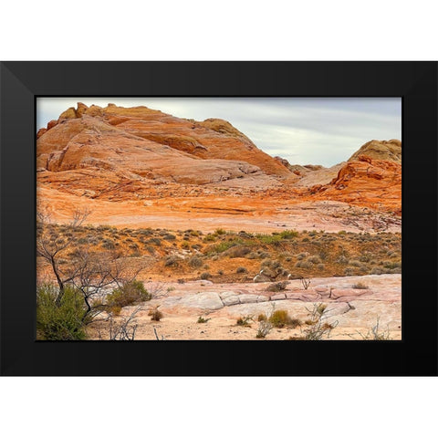ValleyOfFire:BigHornSheep1 Black Modern Wood Framed Art Print by Tenoever, William
