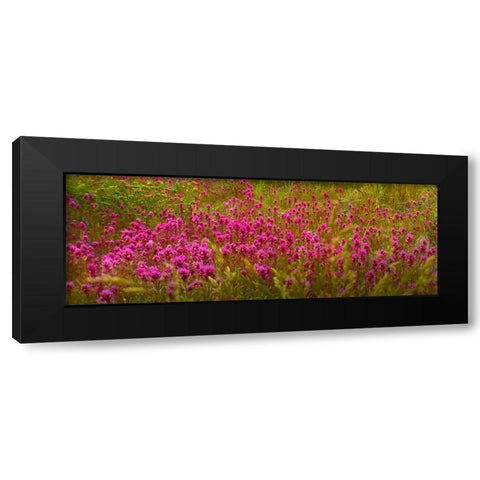 OwlClover Black Modern Wood Framed Art Print by Tenoever, William