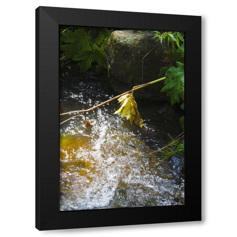 Riparian II Black Modern Wood Framed Art Print by Popcorn