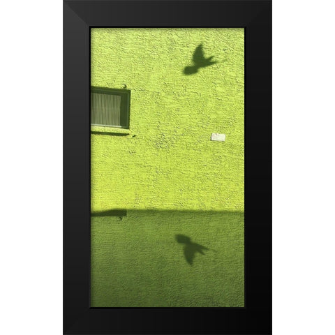 Pigeon I Black Modern Wood Framed Art Print by Popcorn
