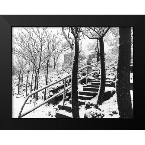 Jerome Snowy Stairs II BandW Black Modern Wood Framed Art Print by Popcorn