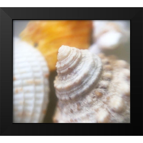 Shells Black Modern Wood Framed Art Print by Popcorn