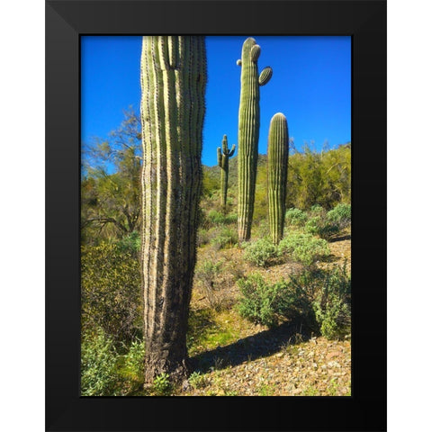 Desert Scape 12a Black Modern Wood Framed Art Print by Popcorn