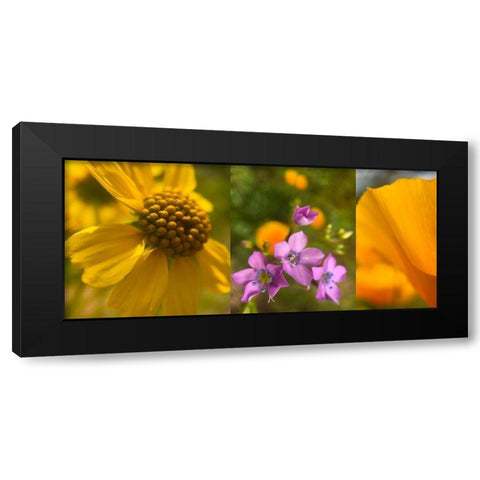 Wildflower Collage VII Black Modern Wood Framed Art Print with Double Matting by Popcorn