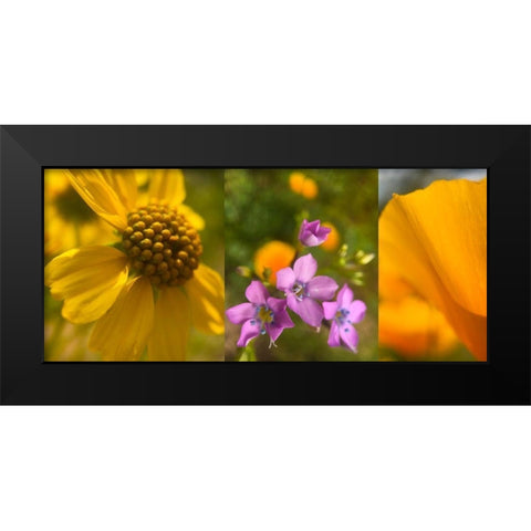 Wildflower Collage VII Black Modern Wood Framed Art Print by Popcorn