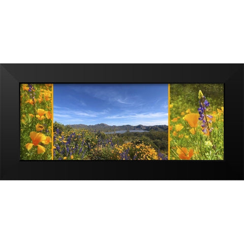 Wildflower Collage X Black Modern Wood Framed Art Print by Popcorn