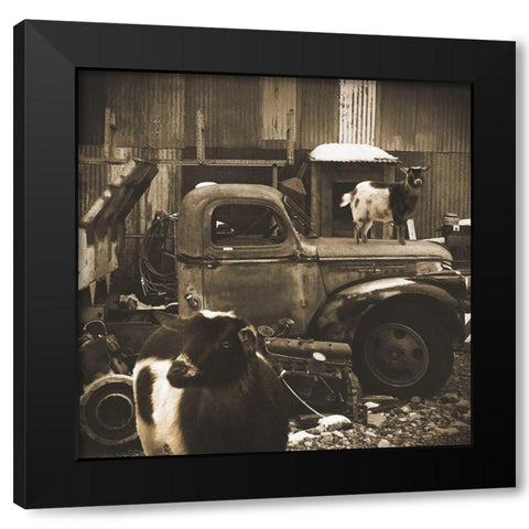 Junkyard D2: Sepia Goats Black Modern Wood Framed Art Print by Popcorn
