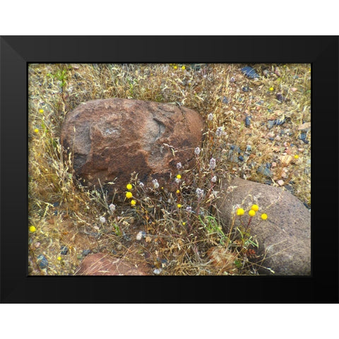 Sedimentations: Where The Chamomile Grows Black Modern Wood Framed Art Print by Popcorn
