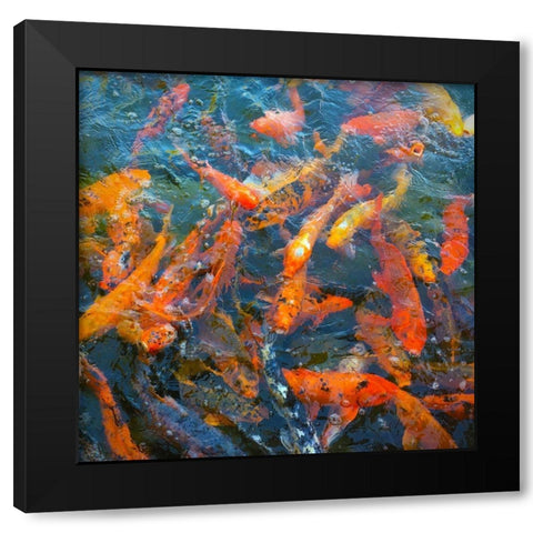 Koi Pond I Black Modern Wood Framed Art Print with Double Matting by Tenoever, William