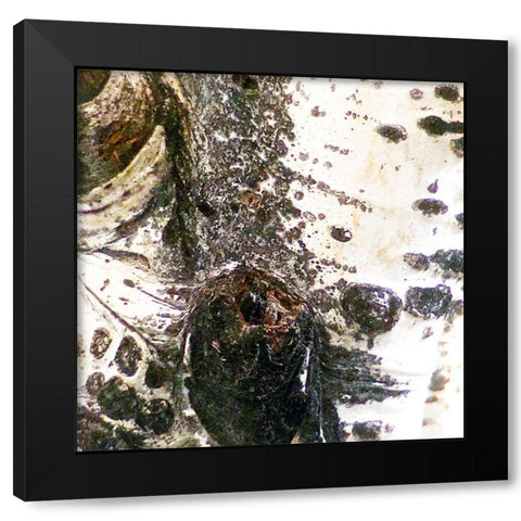 Aspens In The Fall 3 Black Modern Wood Framed Art Print by Tenoever, William