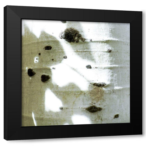 Aspens In The Fall 6 Black Modern Wood Framed Art Print by Tenoever, William