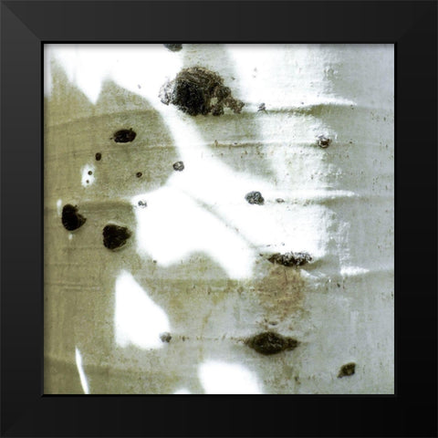 Aspens In The Fall 6 Black Modern Wood Framed Art Print by Tenoever, William