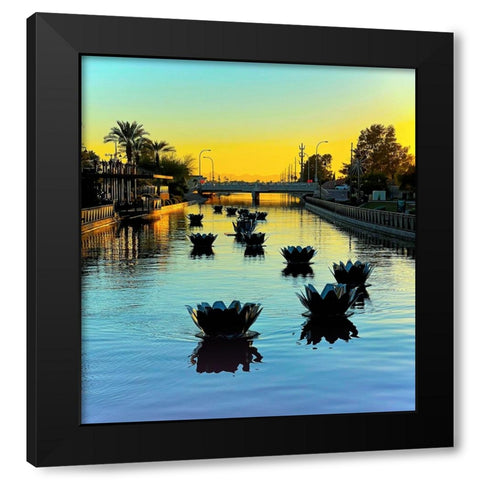 Scottsdale:FloatusBlossoms Black Modern Wood Framed Art Print by Tenoever, William