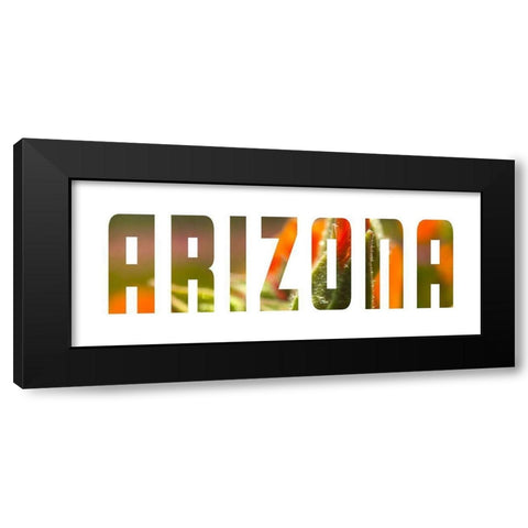 Arizona Black Modern Wood Framed Art Print by Popcorn