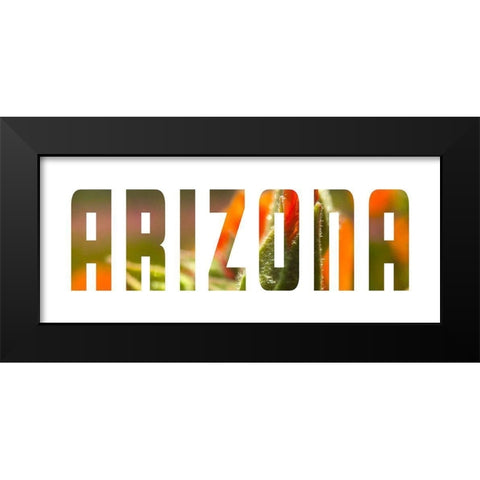 Arizona Black Modern Wood Framed Art Print by Popcorn