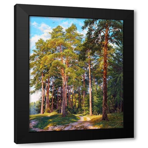 Ship pines Black Modern Wood Framed Art Print with Double Matting by Basov, Sergej