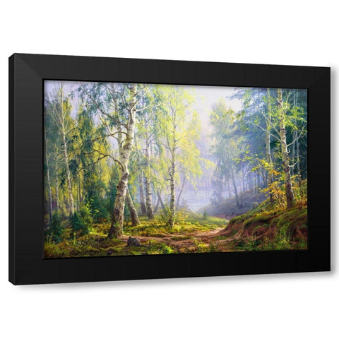 Morning at the birch forest Black Modern Wood Framed Art Print by Basov, Sergej