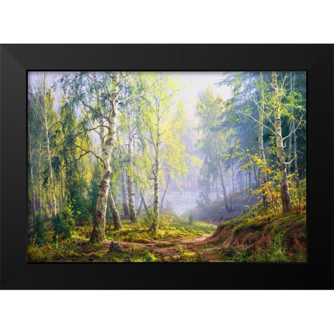 Morning at the birch forest Black Modern Wood Framed Art Print by Basov, Sergej