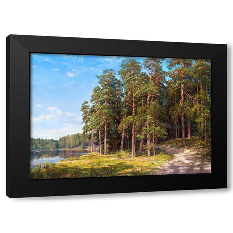 Coastal pines Black Modern Wood Framed Art Print with Double Matting by Basov, Sergej