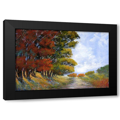 Golden Harmonies I Black Modern Wood Framed Art Print by Tienhaara, Michael