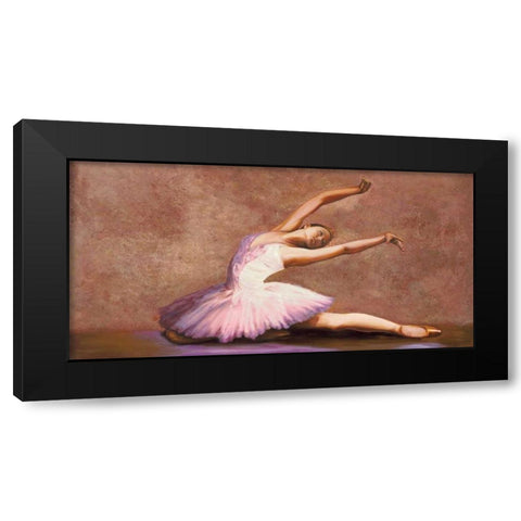Swan Lake Black Modern Wood Framed Art Print with Double Matting by Bassetti, Andrea
