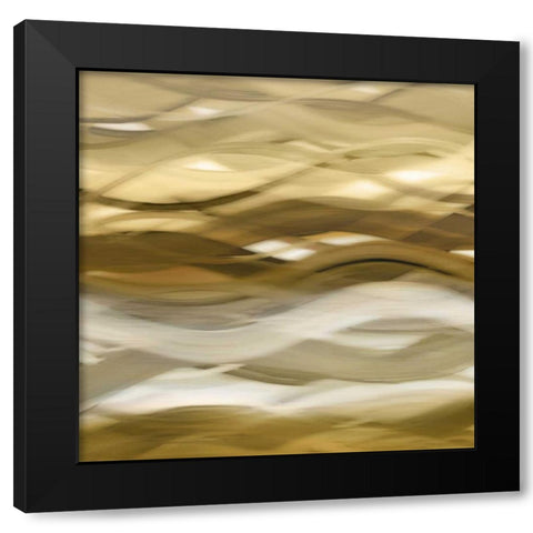 Splendid II Black Modern Wood Framed Art Print with Double Matting by Campbell, Annie