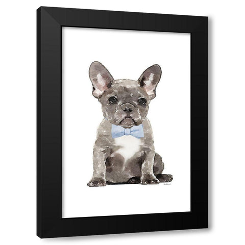 Frenchie VI Black Modern Wood Framed Art Print with Double Matting by Amanda Greenwood