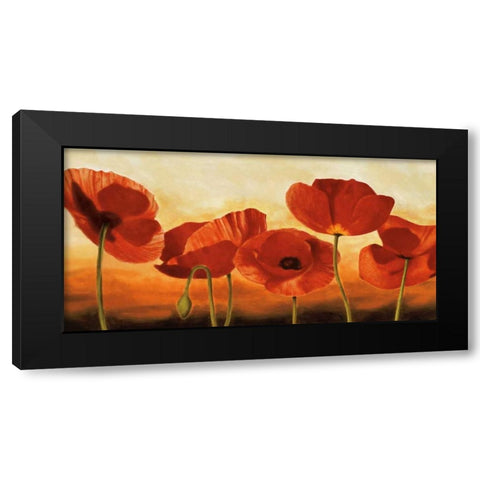 In the Sun Black Modern Wood Framed Art Print by Kahn, Andrea