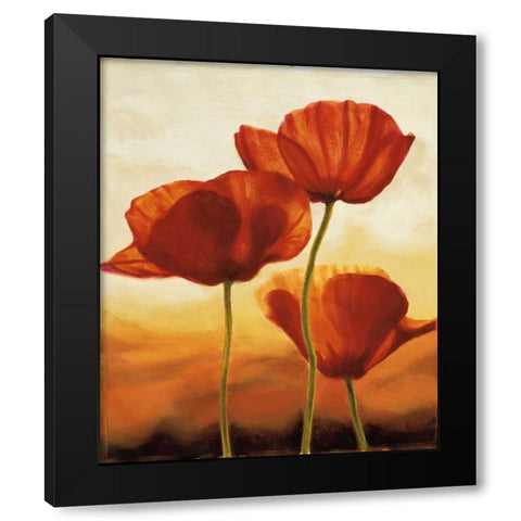 Poppies in Sunlight I Black Modern Wood Framed Art Print by Kahn, Andrea