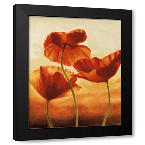 Poppies in Sunlight II Black Modern Wood Framed Art Print by Kahn, Andrea