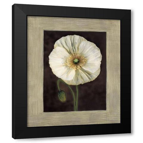 Flora I Black Modern Wood Framed Art Print with Double Matting by Trivelli, Andrea