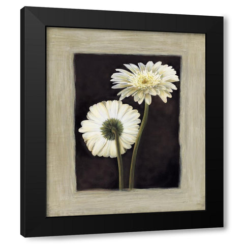 Flora II Black Modern Wood Framed Art Print by Trivelli, Andrea
