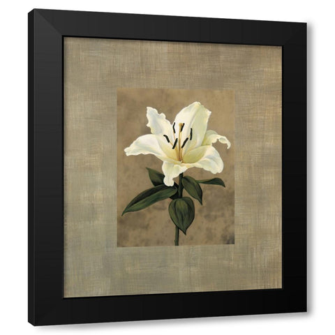 Lily Black Modern Wood Framed Art Print with Double Matting by Trivelli, Andrea